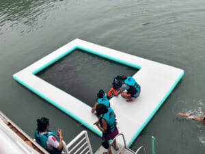 Cozy Bay Halong Cruise Cat Ba Island Trekking 015 - Best Halong Cruise 2026