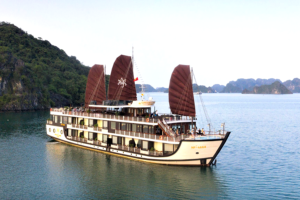 Read more about the article Orchid Trendy Cabins & Suites 2026: Complete Room Guide