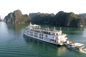 Read more about the article Paradise Grand Cabins & Suites 2026: Complete Room Guide