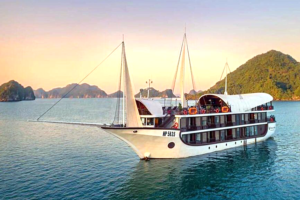 Read more about the article Sena Cruise Cabins & Suites 2026: Complete Room Guide